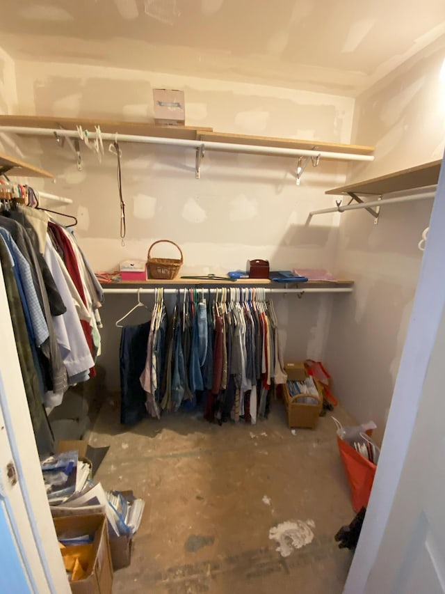 view of spacious closet