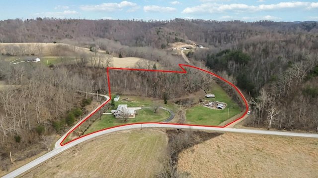 bird's eye view with a forest view