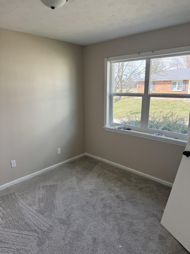 carpeted empty room featuring a textured ceiling, baseboards, and a wealth of natural light