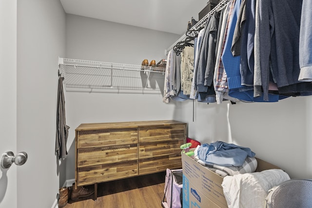 walk in closet featuring wood finished floors