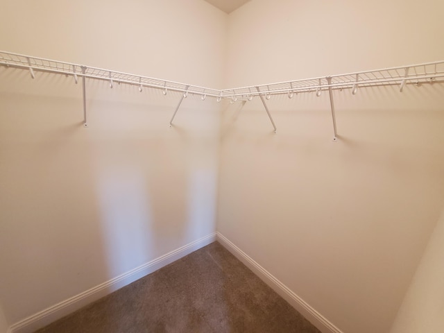 walk in closet with dark carpet