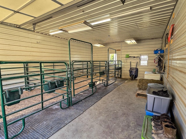 view of horse barn