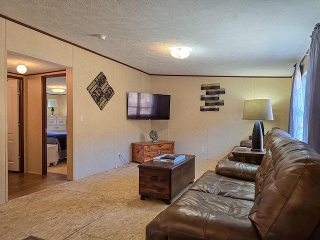 living area featuring ornamental molding and a textured ceiling