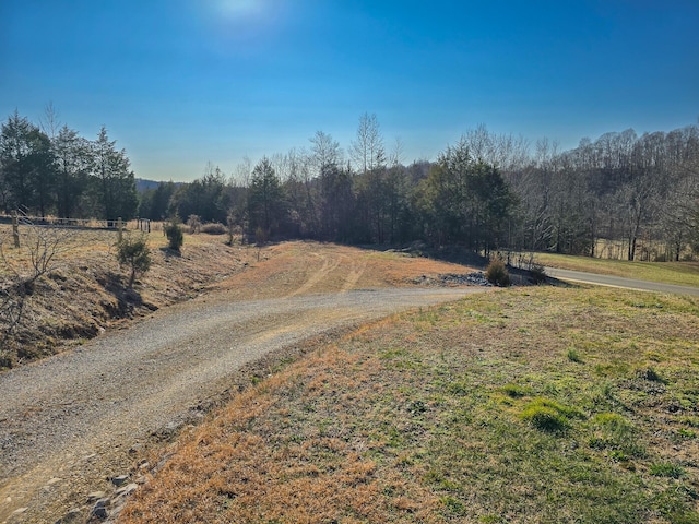 view of road featuring a view of trees and a rural view