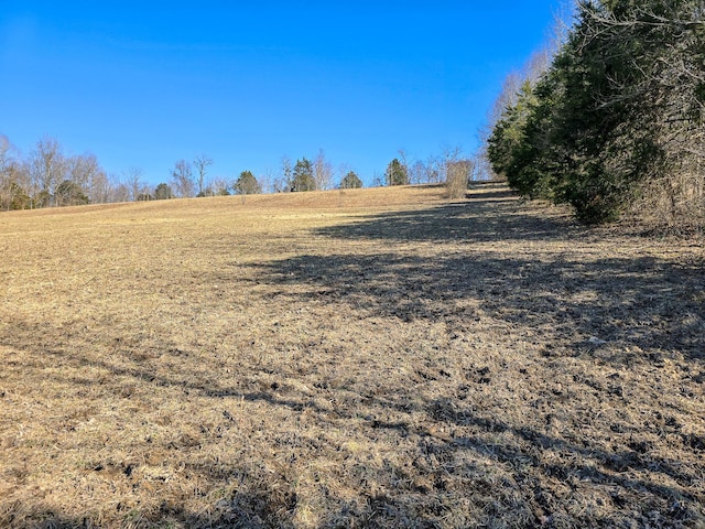 view of yard with a rural view