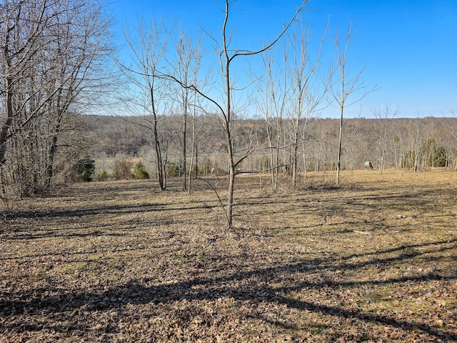 view of local wilderness featuring a rural view