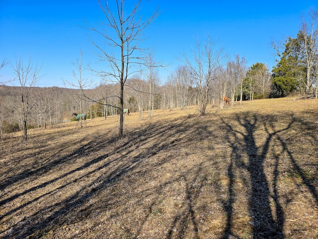 view of yard featuring a rural view