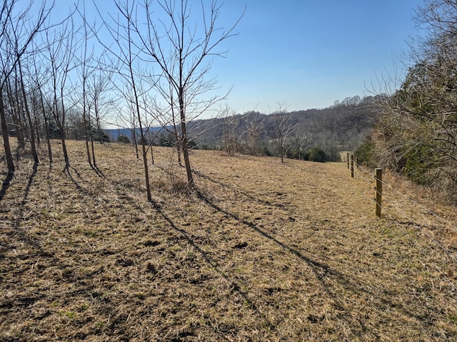 view of yard with a rural view