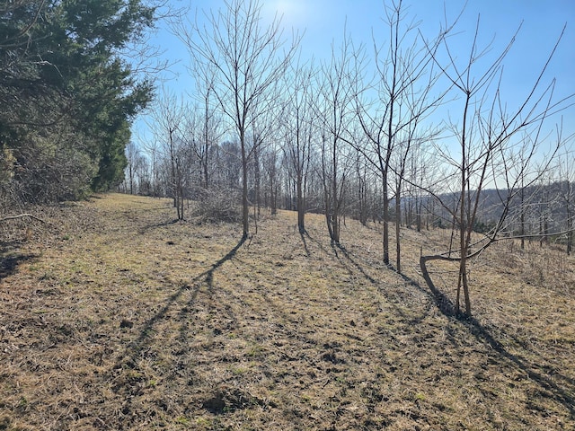 view of landscape