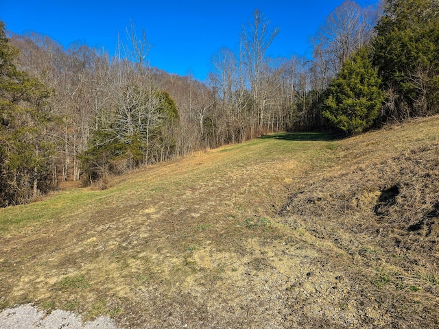 view of yard with a wooded view