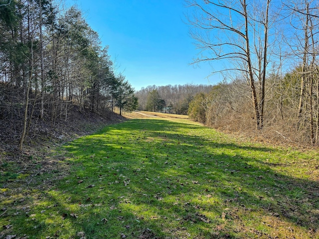 view of yard featuring a wooded view