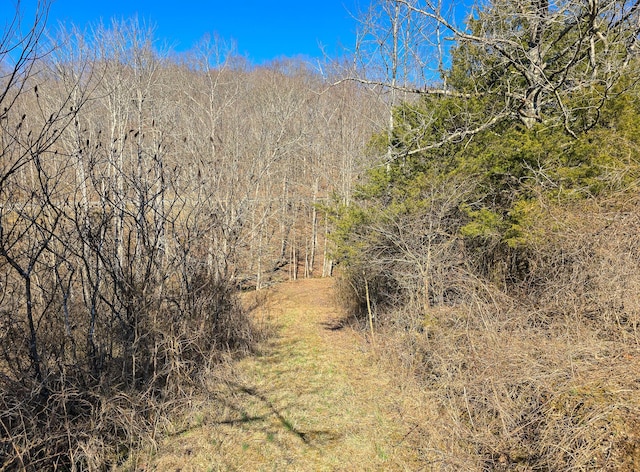 view of nature featuring a forest view