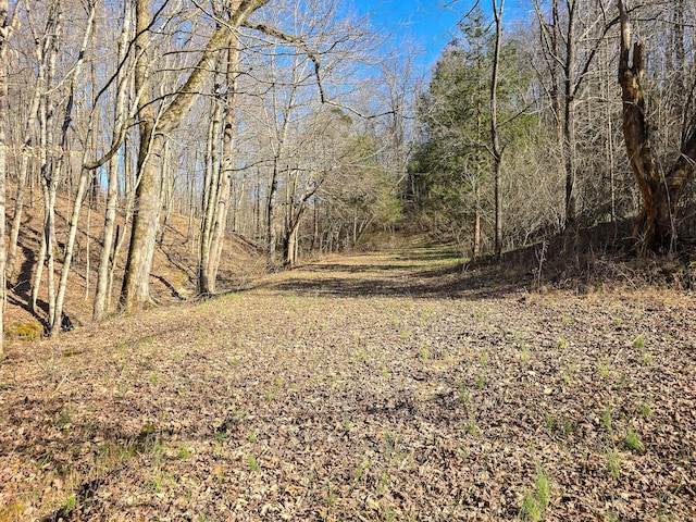 view of nature with a forest view