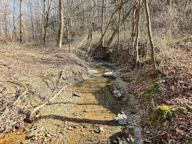 view of nature featuring a view of trees