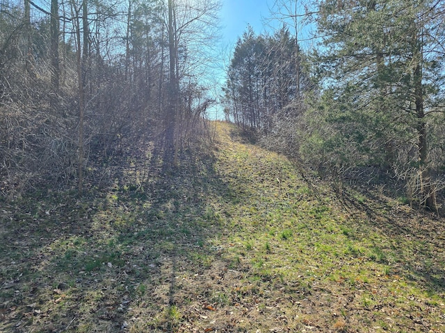 view of local wilderness with a view of trees