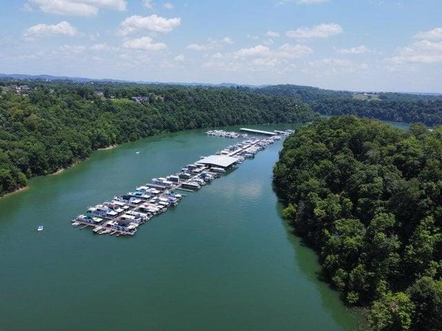 3 Lees Ford Dock Rd, Nancy KY, 42544 land for sale