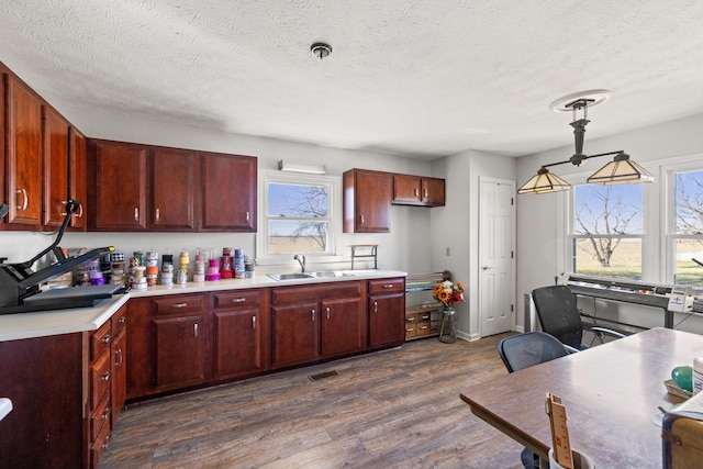 kitchen with visible vents, dark wood-style flooring, light countertops, a textured ceiling, and a sink