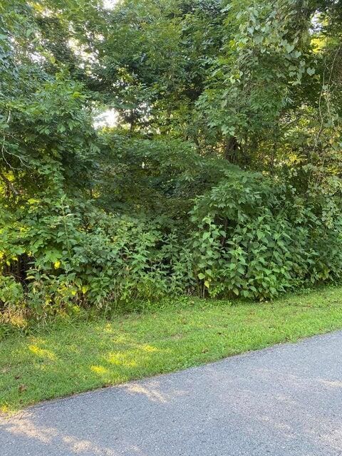 LT908 Stonegate Dr, Burnside KY, 42519 land for sale