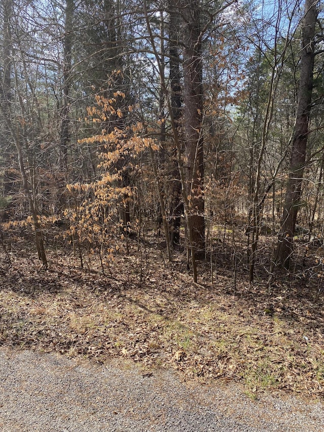 LOT20 N Fork Rd, Burnside KY, 42519 land for sale