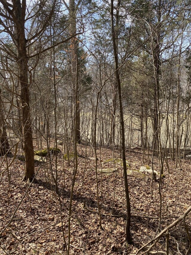 Listing photo 2 for LOT20 N Fork Rd, Burnside KY 42519