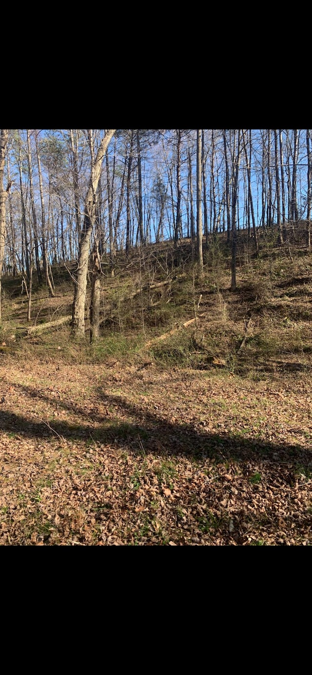 928 Allen School Rd, East Bernstadt, KY 40729 - view of landscape