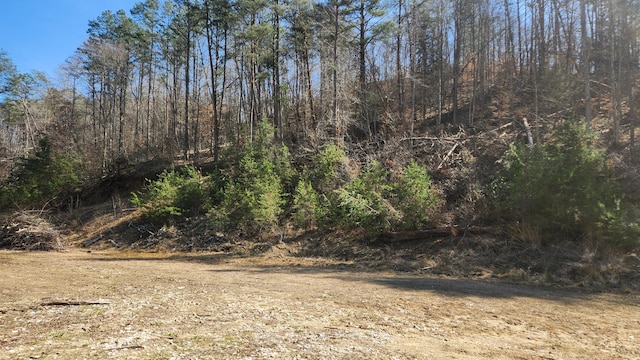 view of local wilderness featuring a view of trees