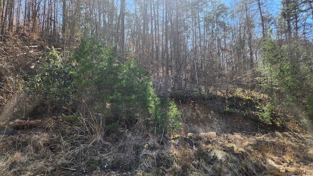 view of local wilderness with a forest view