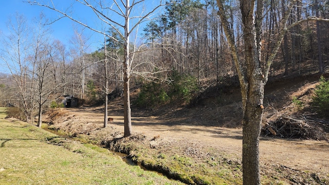 view of landscape featuring a wooded view