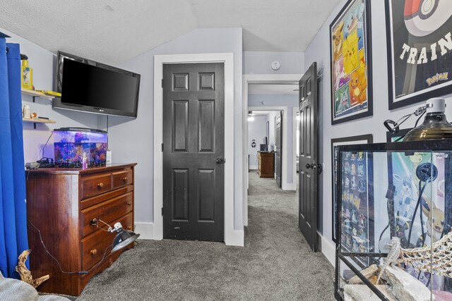 4200 Grays Run Pike, Cynthiana, KY 41031 - bedroom with lofted ceiling, carpet flooring, and baseboards