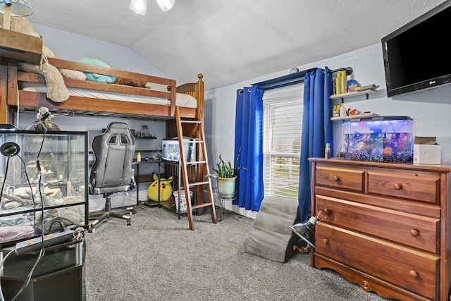 4200 Grays Run Pike, Cynthiana, KY 41031 - bedroom featuring lofted ceiling and carpet