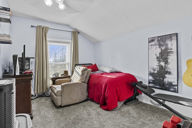 4200 Grays Run Pike, Cynthiana, KY 41031 - bedroom with a textured ceiling, carpet, and vaulted ceiling
