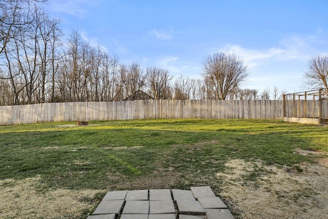 4200 Grays Run Pike, Cynthiana, KY 41031 - view of yard featuring a fenced backyard