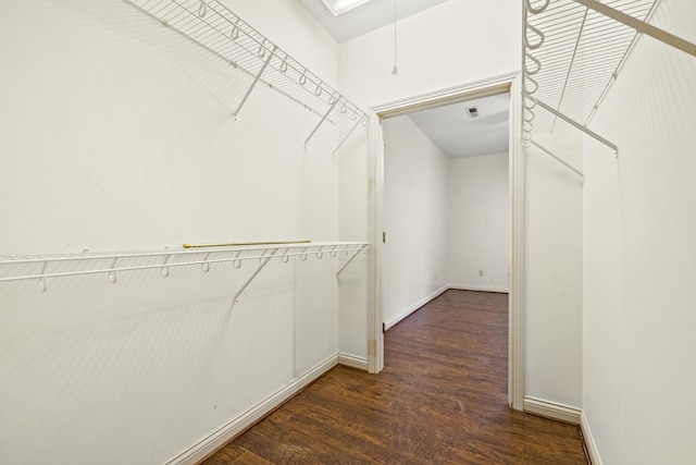 spacious closet featuring wood finished floors