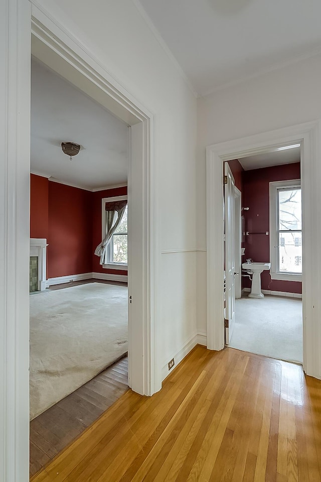 corridor with carpet floors, a wealth of natural light, and hardwood / wood-style flooring