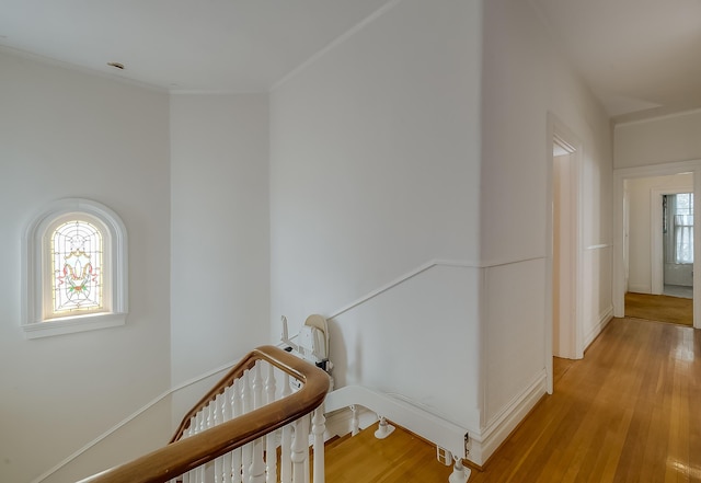 corridor with light wood-type flooring, plenty of natural light, and ornamental molding