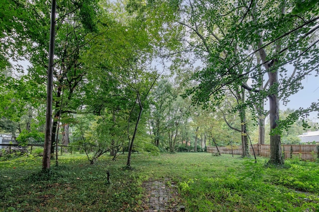 view of yard with fence