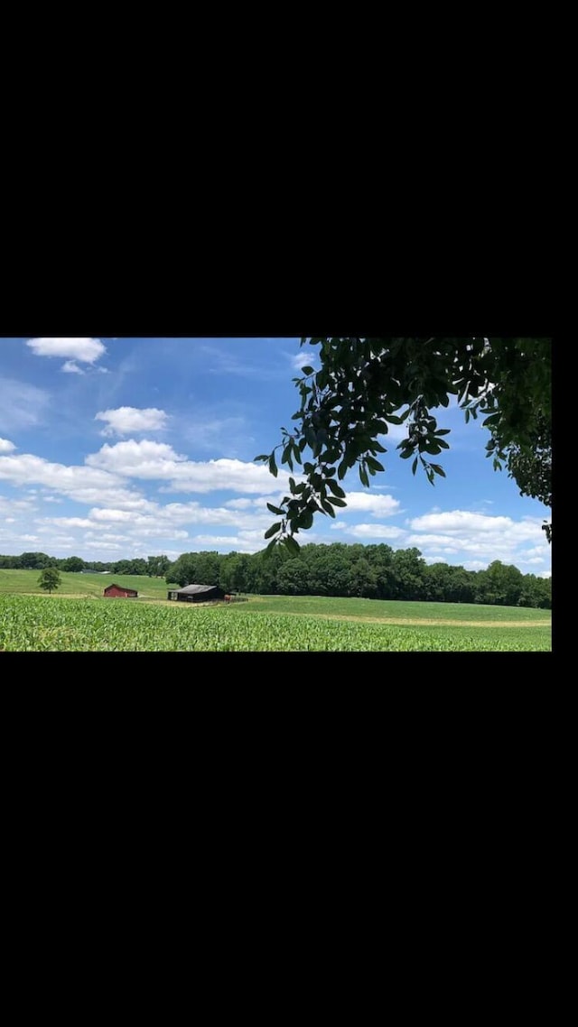 149 Cherokee Ave, Russell Springs, KY 42642 - view of yard with a view of countryside