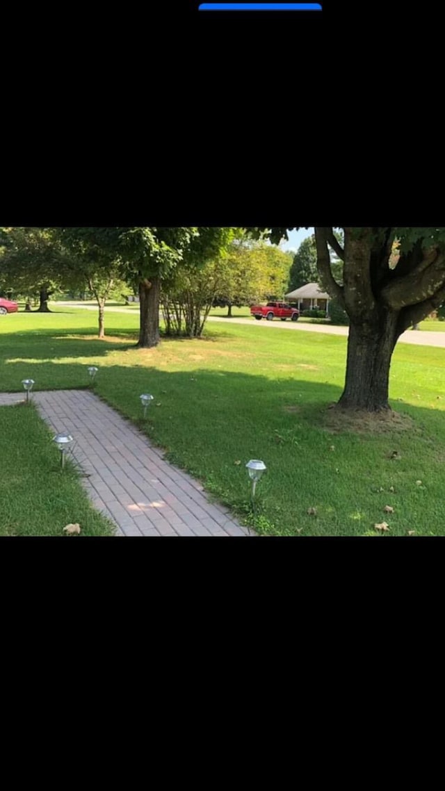 149 Cherokee Ave, Russell Springs, KY 42642 - surrounding community featuring a lawn