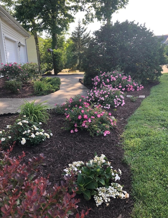 view of yard with a garage