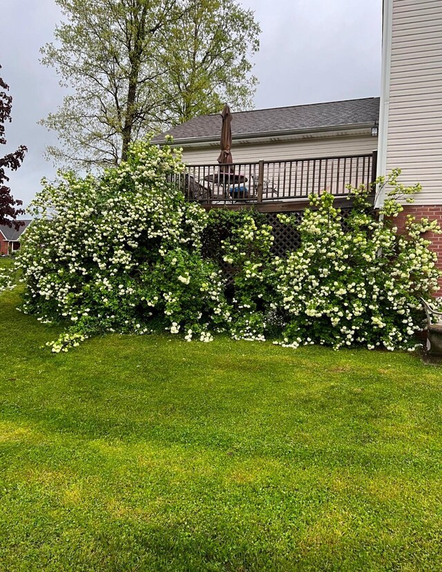 view of yard featuring a deck