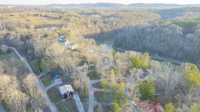 bird's eye view with a mountain view and a wooded view