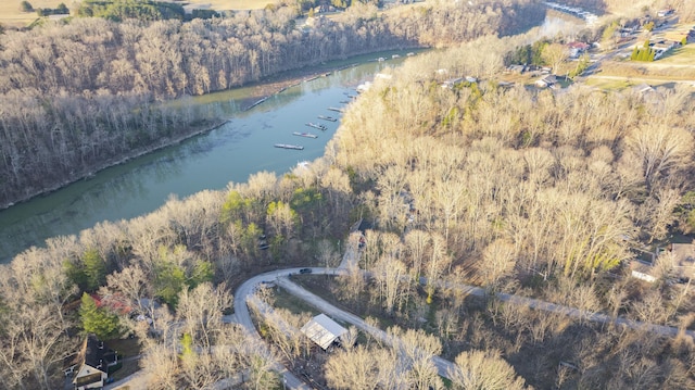 drone / aerial view with a view of trees and a water view