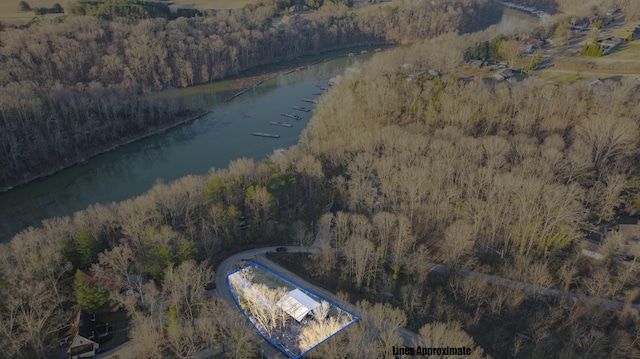 aerial view with a water view and a view of trees