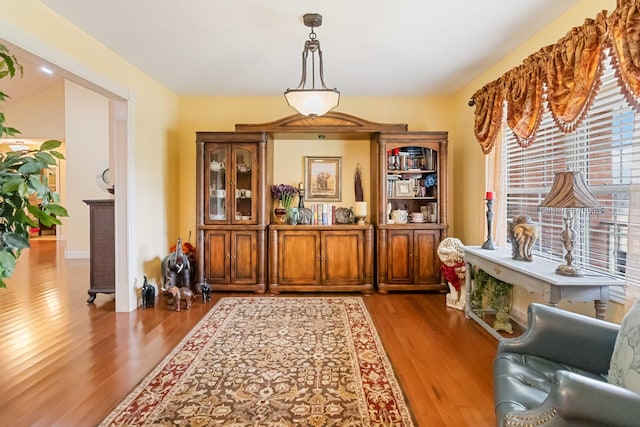 interior space with wood finished floors