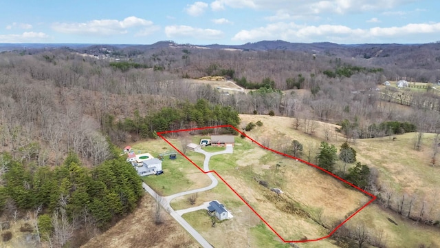 birds eye view of property featuring a mountain view, a view of trees, and a rural view