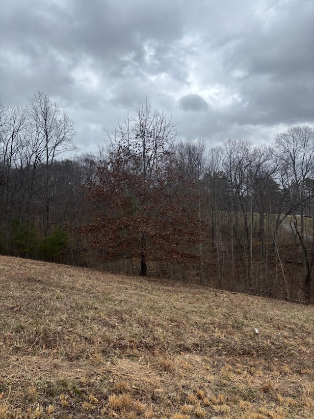 Listing photo 2 for 9999 Old Way Rd, London KY 40744