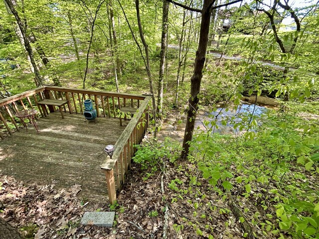 185 Woods Rd, Nancy, KY 42544 - view of deck