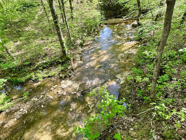 185 Woods Rd, Nancy, KY 42544 - view of nature