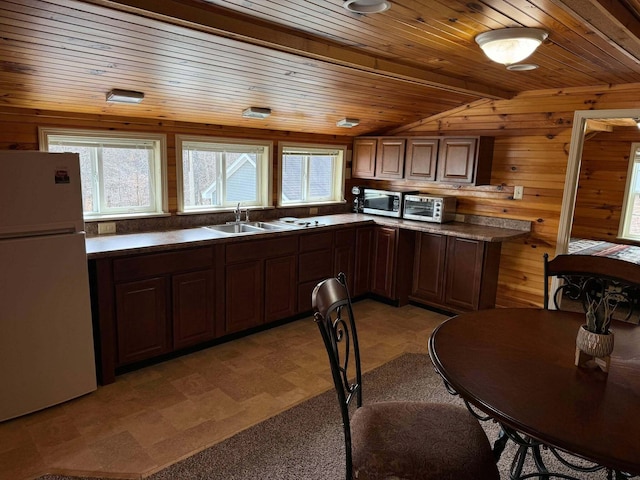 kitchen featuring stainless steel microwave, a sink, freestanding refrigerator, and a healthy amount of sunlight