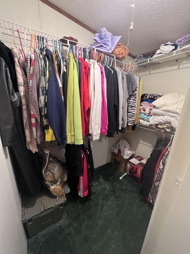 walk in closet featuring carpet floors